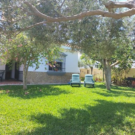 צ'יפיונה Villa Antonia מראה חיצוני תמונה