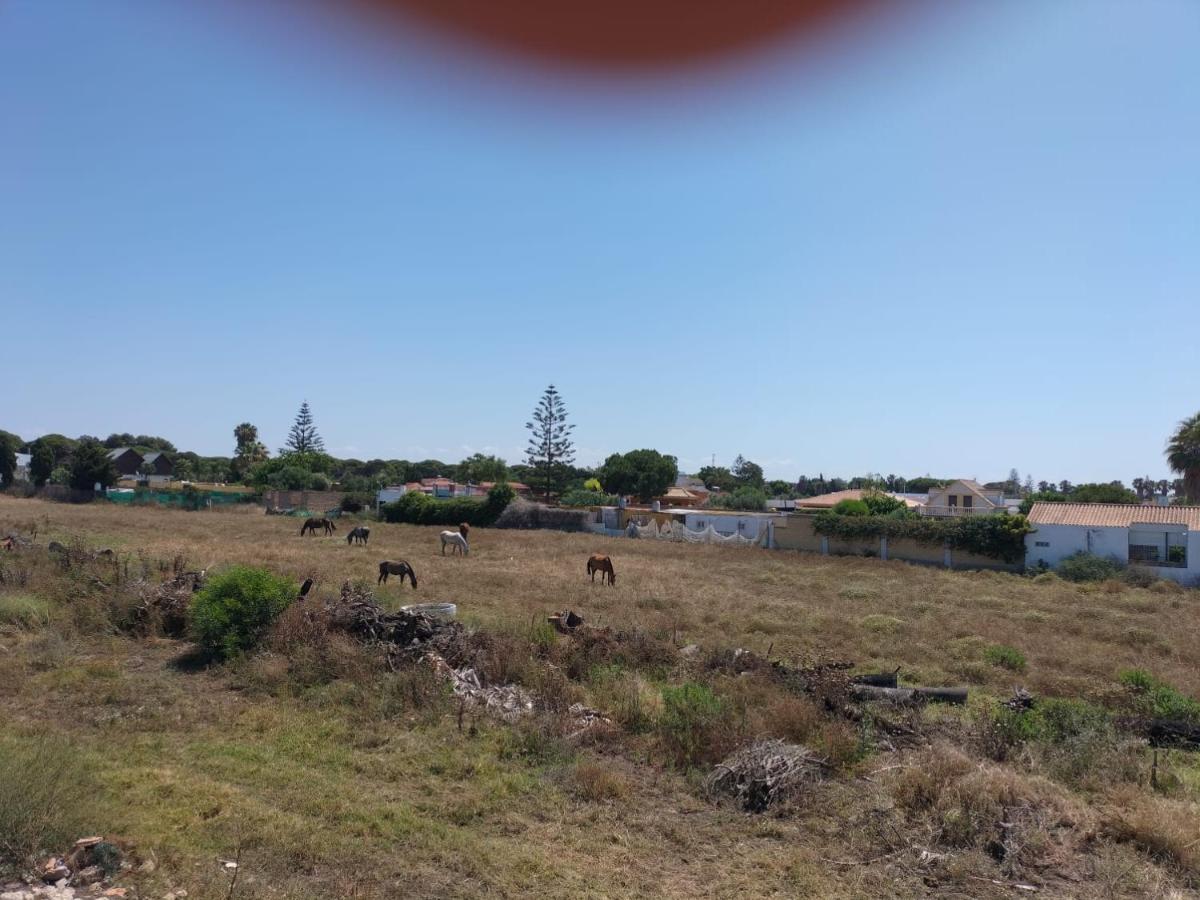 צ'יפיונה Villa Antonia מראה חיצוני תמונה